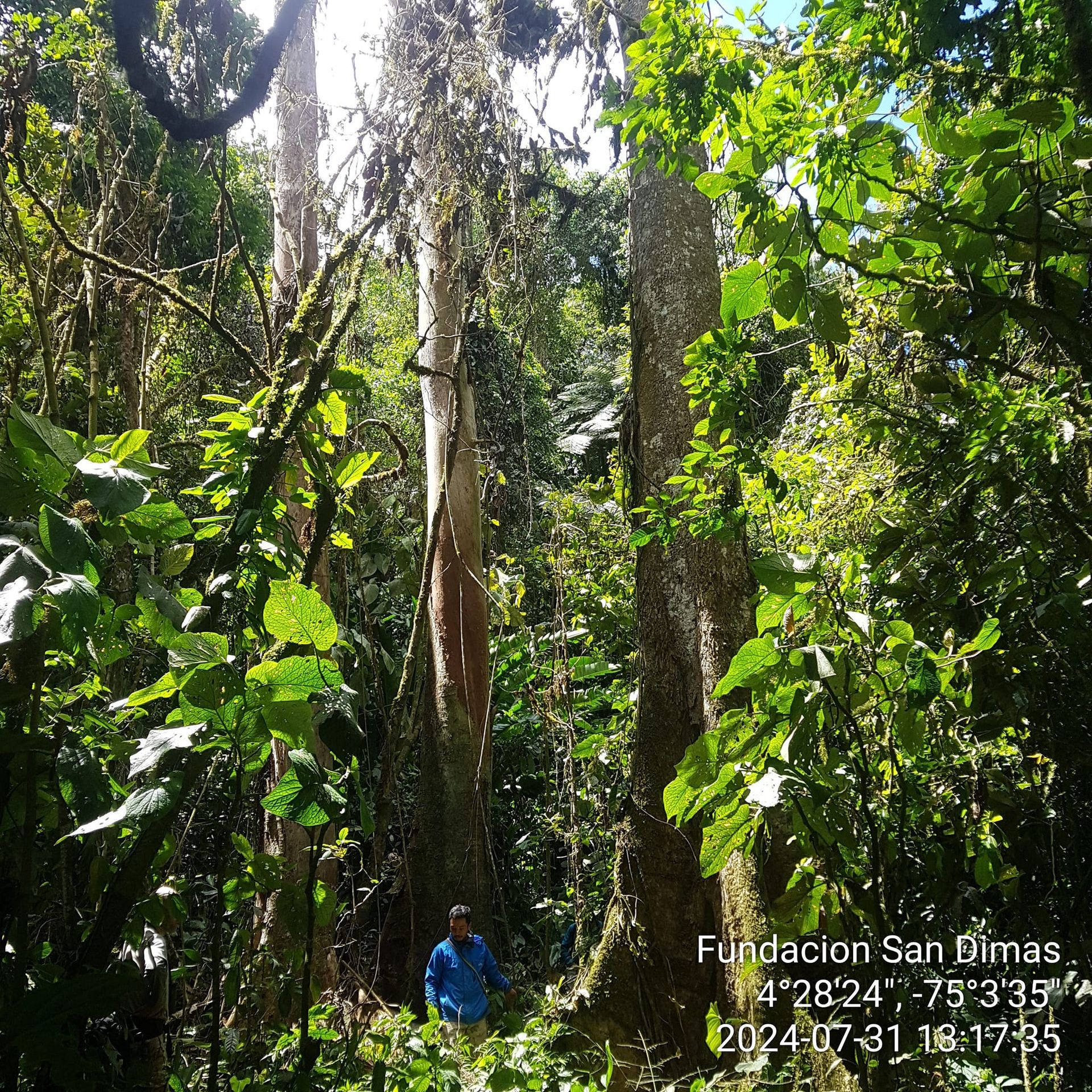 Celebrando la Biodiversidad
