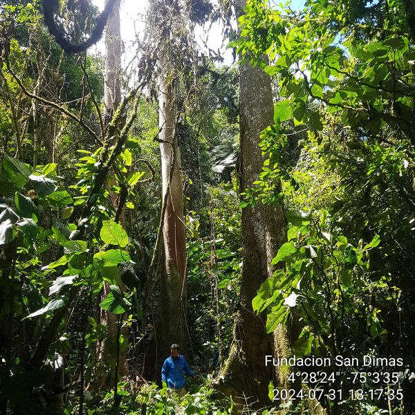 Celebrando la Biodiversidad