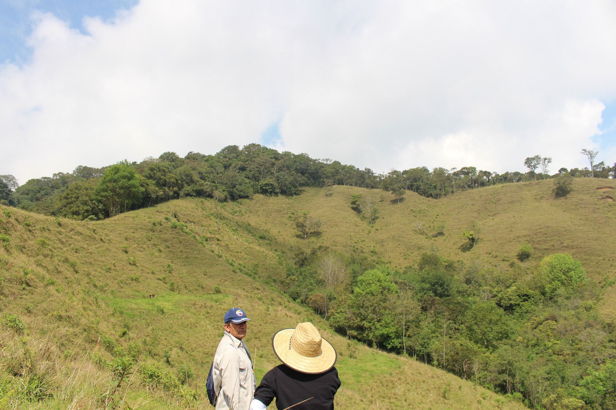 Fundación San Dimas | Flora