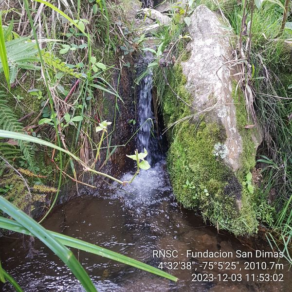 Protección de Fuentes Hídricas